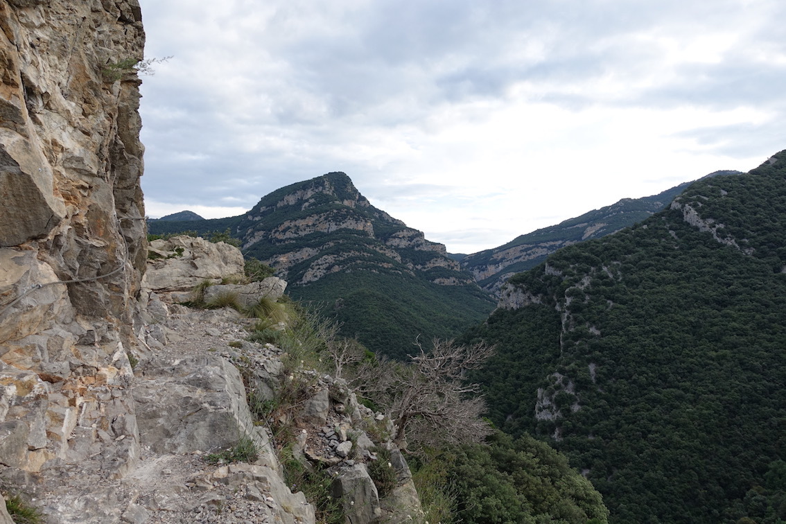 Klicke auf die Grafik für eine vergrößerte Ansicht

Name: 147-GR11-Puig d'en Coll.jpg
Ansichten: 247
Größe: 301,2 KB
ID: 3046343