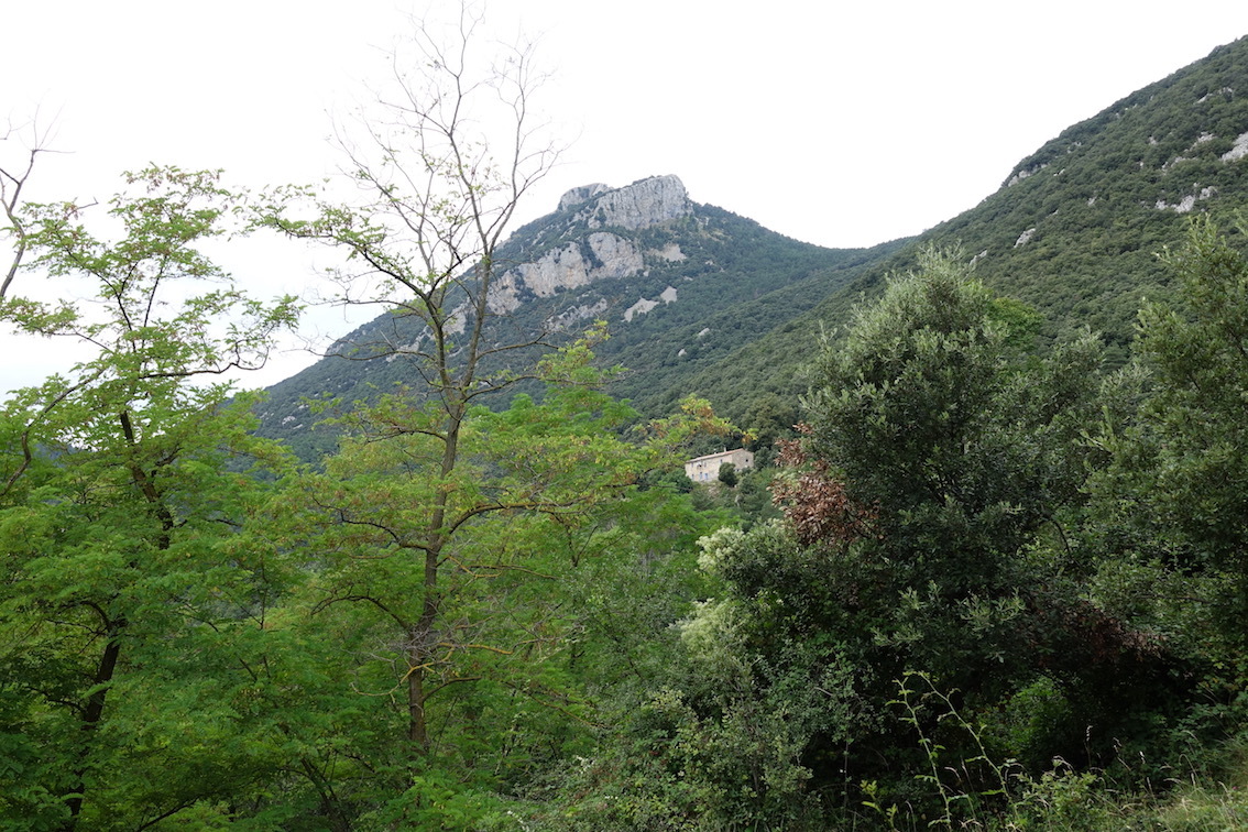 Klicke auf die Grafik für eine vergrößerte Ansicht

Name: 150-GR11-Puig de Bassegoda.jpg
Ansichten: 193
Größe: 394,0 KB
ID: 3046346