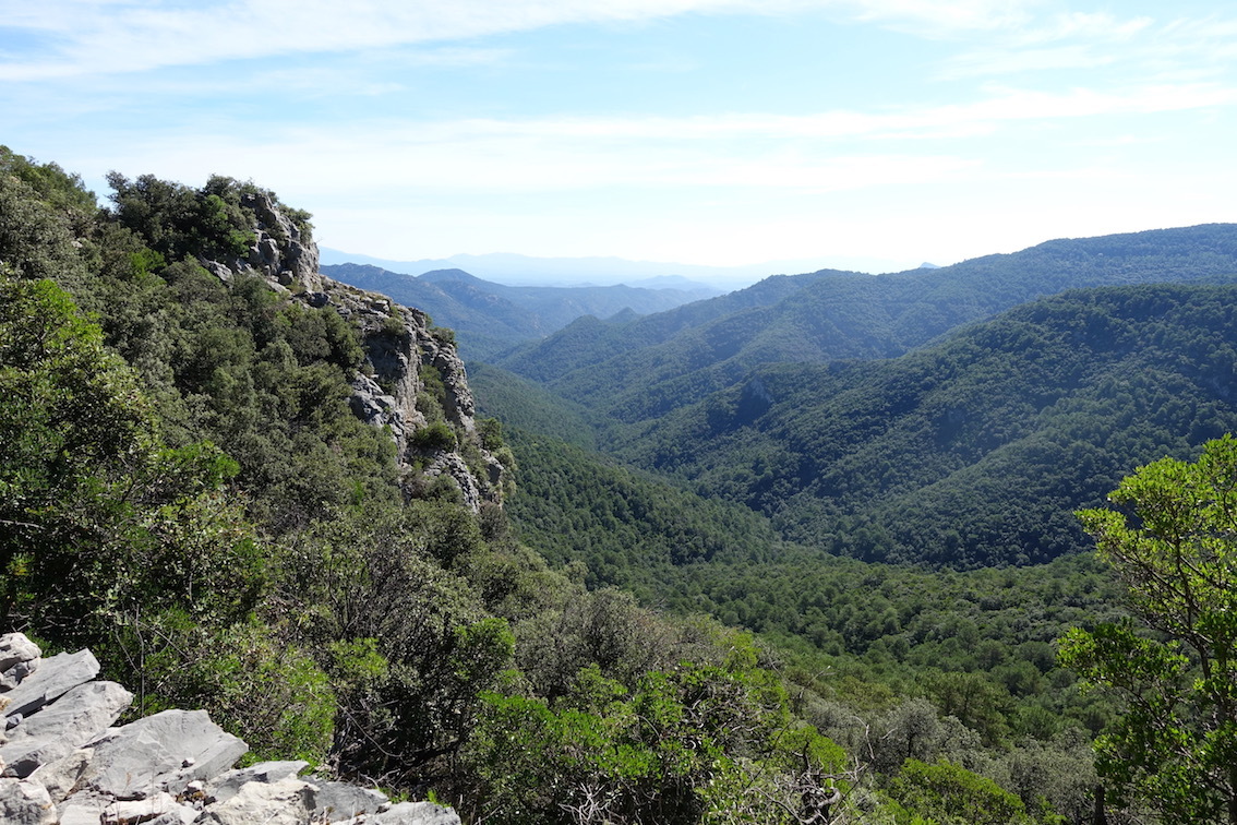 Klicke auf die Grafik für eine vergrößerte Ansicht

Name: 153-GR11-über der Serra de Ferreros.jpg
Ansichten: 190
Größe: 389,5 KB
ID: 3046351