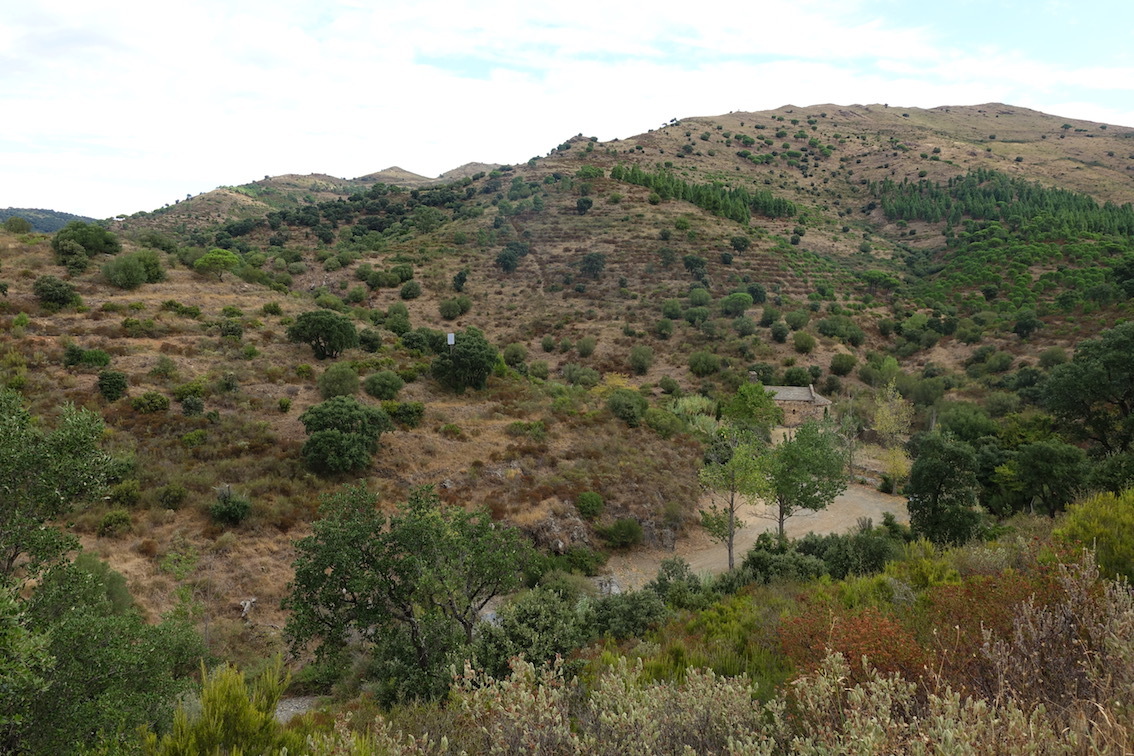 Klicke auf die Grafik für eine vergrößerte Ansicht

Name: 180-GR11-Ermita de Sant Silvestre de Valleta.jpg
Ansichten: 183
Größe: 362,4 KB
ID: 3046388