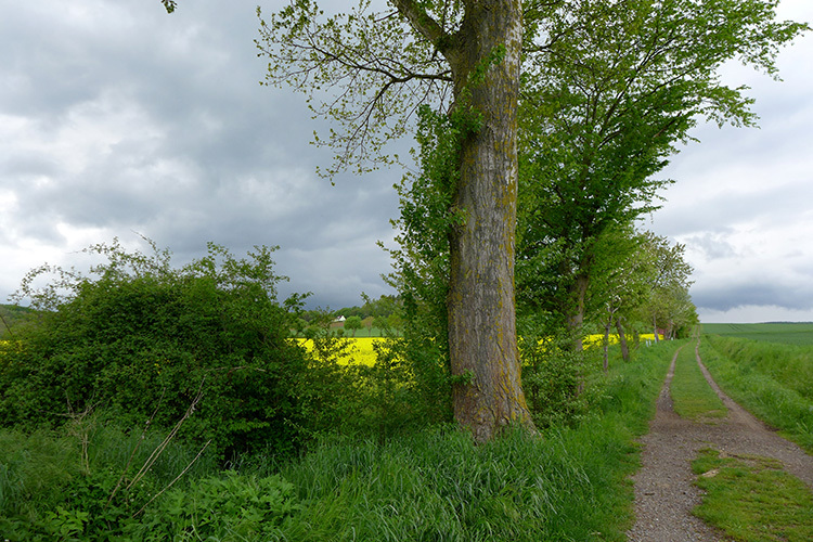 Klicke auf die Grafik für eine vergrößerte Ansicht  Name: Weserbergland_19.jpg Ansichten: 0 Größe: 259,8 KB ID: 3046487