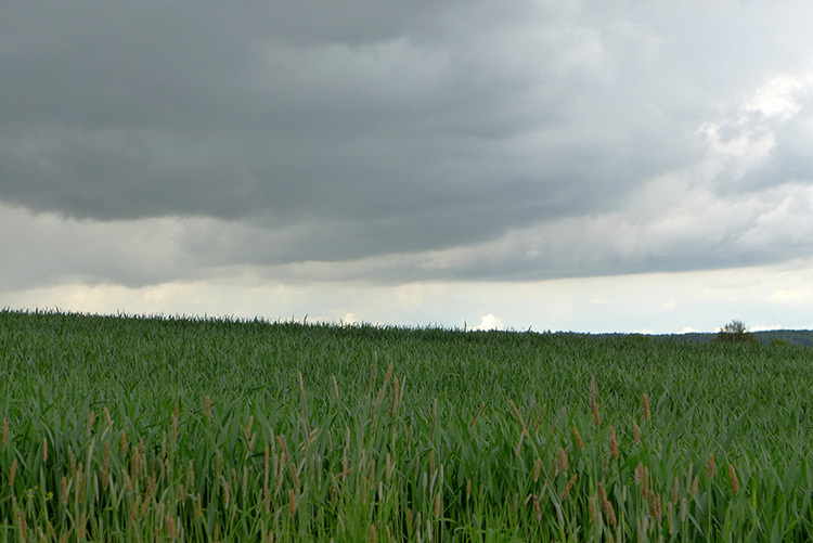 Klicke auf die Grafik für eine vergrößerte Ansicht  Name: Weserbergland_23.jpg Ansichten: 0 Größe: 131,8 KB ID: 3046489