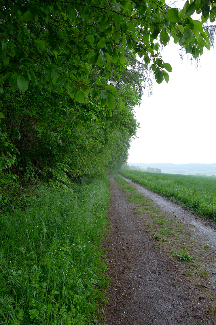 Klicke auf die Grafik für eine vergrößerte Ansicht  Name: Weserbergland_25.jpg Ansichten: 0 Größe: 572,4 KB ID: 3046493