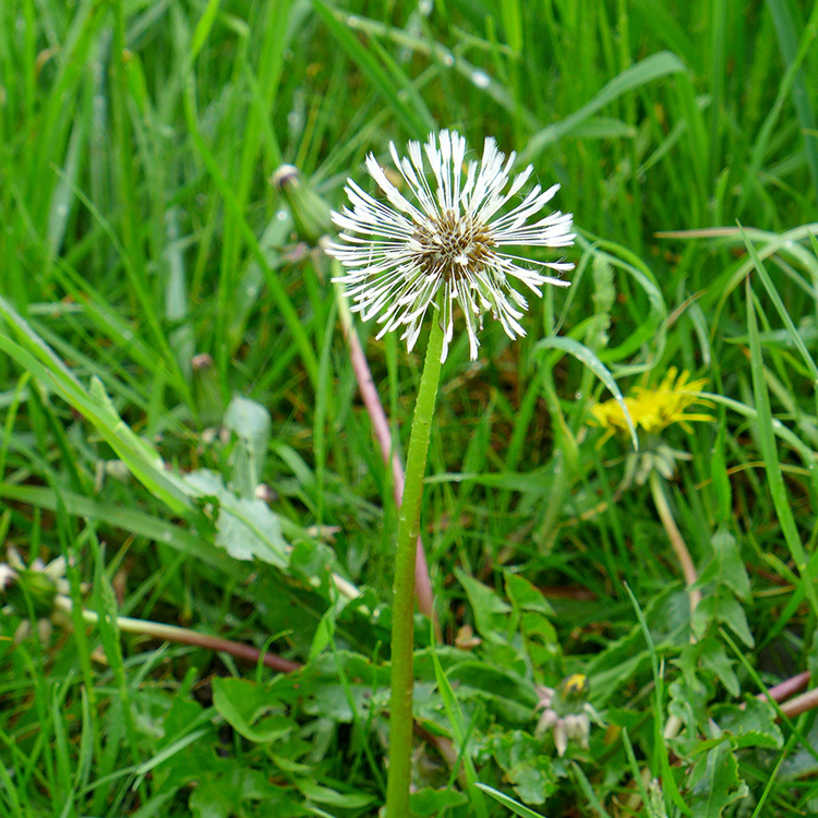 Klicke auf die Grafik für eine vergrößerte Ansicht  Name: Weserbergland_27.jpg Ansichten: 0 Größe: 283,7 KB ID: 3046495