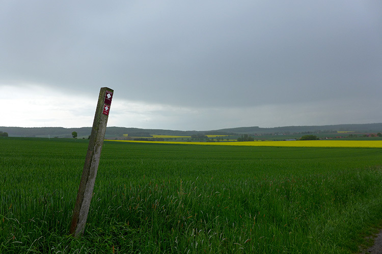 Klicke auf die Grafik für eine vergrößerte Ansicht  Name: Weserbergland_28.jpg Ansichten: 0 Größe: 126,8 KB ID: 3046496