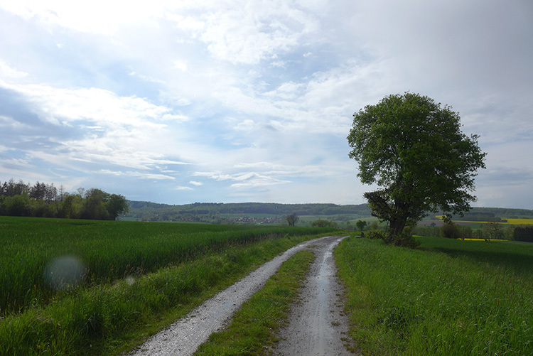 Klicke auf die Grafik für eine vergrößerte Ansicht  Name: Weserbergland_29.jpg Ansichten: 0 Größe: 148,2 KB ID: 3046497