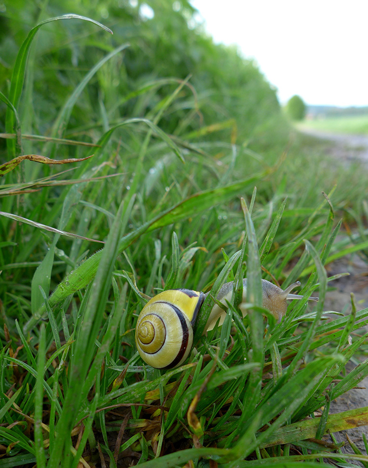 Klicke auf die Grafik für eine vergrößerte Ansicht  Name: Weserbergland_32.jpg Ansichten: 0 Größe: 303,2 KB ID: 3046500