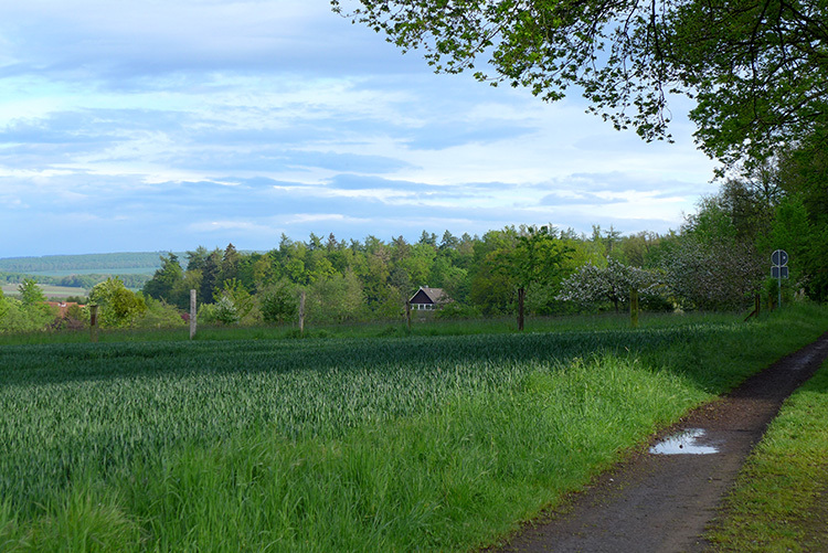 Klicke auf die Grafik für eine vergrößerte Ansicht  Name: Weserbergland_36.jpg Ansichten: 0 Größe: 227,2 KB ID: 3046504