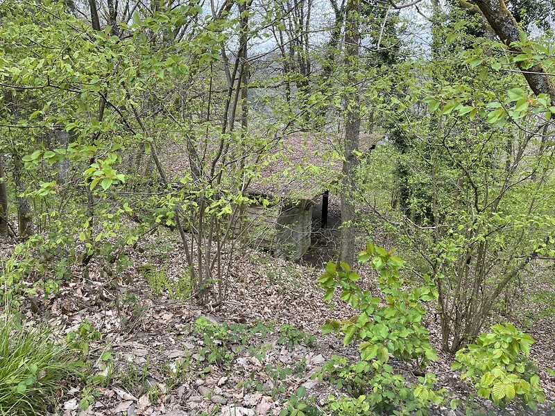 Klicke auf die Grafik für eine vergrößerte Ansicht  Name: 51172713085_183cb47816_c.jpg Ansichten: 0 Größe: 311,7 KB ID: 3046706