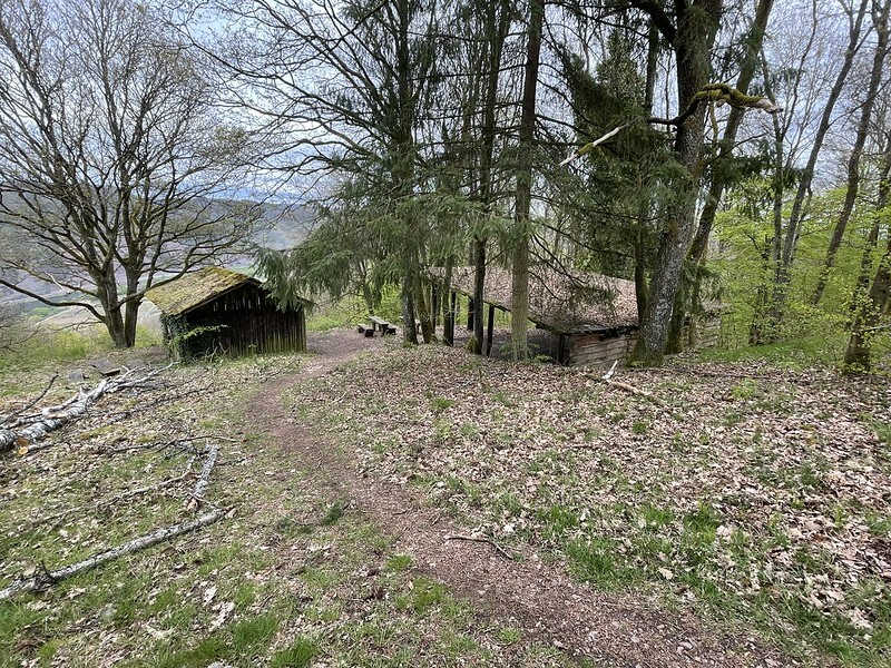 Klicke auf die Grafik für eine vergrößerte Ansicht  Name: 51171842818_3d10e695f2_c.jpg Ansichten: 0 Größe: 299,6 KB ID: 3046709