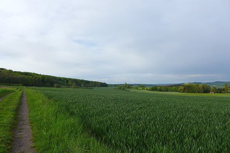 Klicke auf die Grafik für eine vergrößerte Ansicht

Name: Weserbergland_38.jpg
Ansichten: 236
Größe: 145,3 KB
ID: 3046697