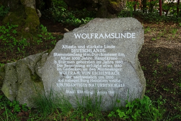 Klicke auf die Grafik für eine vergrößerte Ansicht

Name: DSC02090.JPG
Ansichten: 663
Größe: 288,6 KB
ID: 3047843