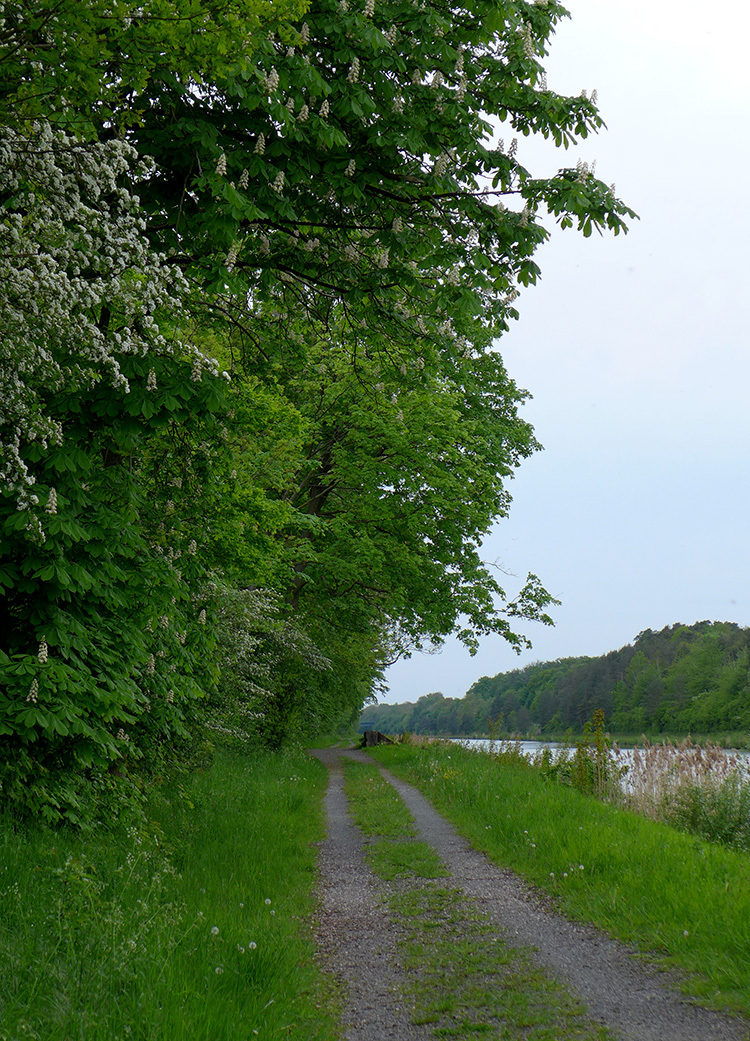 Klicke auf die Grafik für eine vergrößerte Ansicht  Name: Mittellandkanal_53.jpg Ansichten: 0 Größe: 515,7 KB ID: 3047934