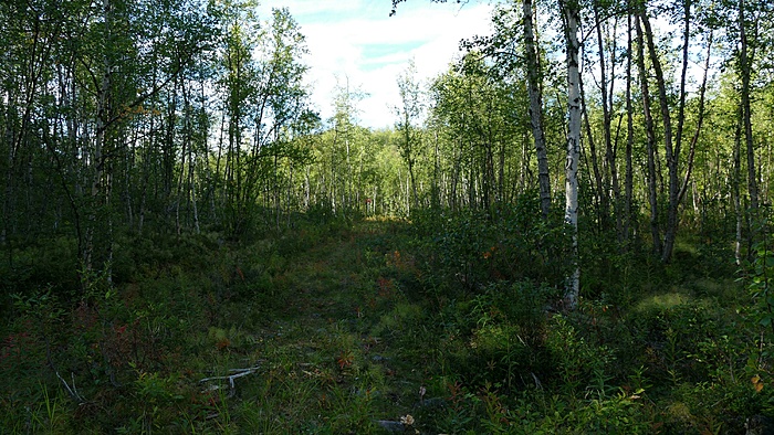 Klicke auf die Grafik für eine vergrößerte Ansicht

Name: 2020-09, Lappland, 014_verkleinert.jpg
Ansichten: 1202
Größe: 3,46 MB
ID: 3048430