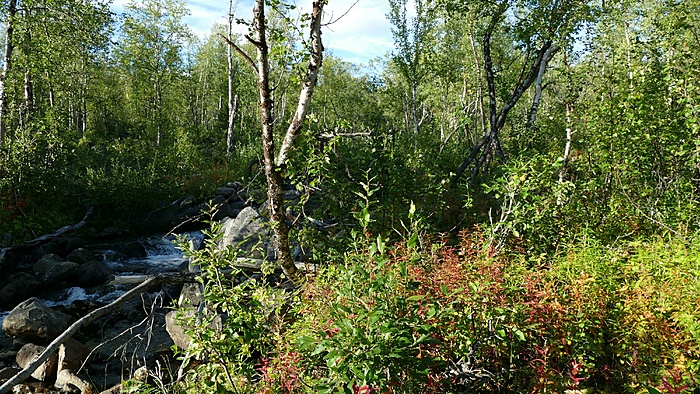 Klicke auf die Grafik für eine vergrößerte Ansicht

Name: 2020-09, Lappland, 017_verkleinert.jpg
Ansichten: 1180
Größe: 4,20 MB
ID: 3048432