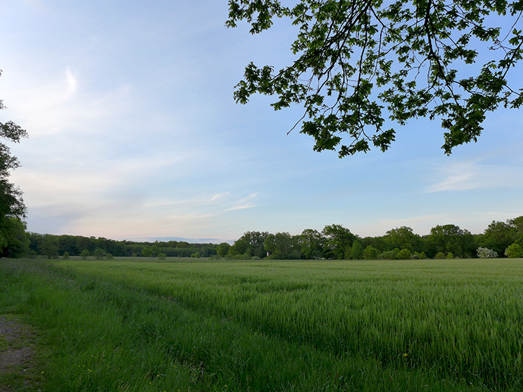 Klicke auf die Grafik für eine vergrößerte Ansicht  Name: Mittellandkanal_90.jpg Ansichten: 0 Größe: 214,9 KB ID: 3048601