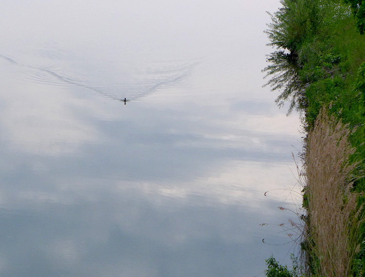Klicke auf die Grafik für eine vergrößerte Ansicht  Name: Mittellandkanal_93.jpg Ansichten: 0 Größe: 128,1 KB ID: 3048604