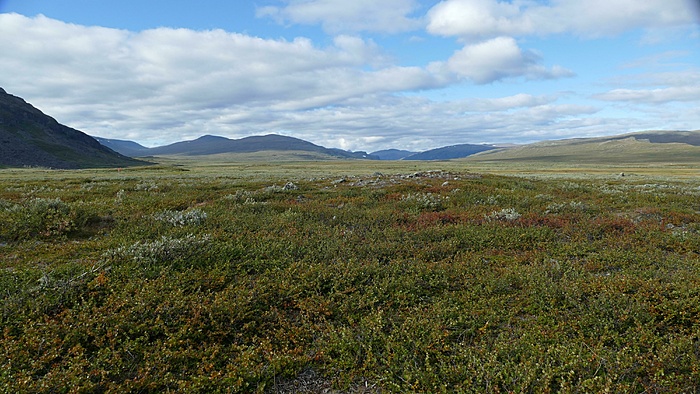 Klicke auf die Grafik für eine vergrößerte Ansicht

Name: 2020-09, Lappland, 083_verkleinert.jpg
Ansichten: 1095
Größe: 2,97 MB
ID: 3048659
