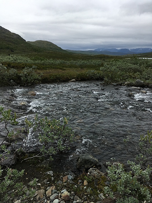 Klicke auf die Grafik für eine vergrößerte Ansicht  Name: Norwegen19_ - 117.JPG Ansichten: 0 Größe: 4,08 MB ID: 3048725