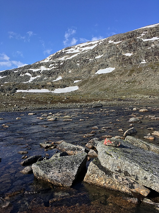 Klicke auf die Grafik für eine vergrößerte Ansicht

Name: Norwegen19_ - 205.JPG
Ansichten: 985
Größe: 4,59 MB
ID: 3048757