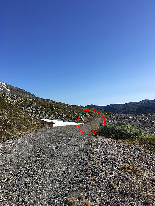 Klicke auf die Grafik für eine vergrößerte Ansicht

Name: Norwegen19_ - 274b.JPG
Ansichten: 946
Größe: 5,08 MB
ID: 3048775