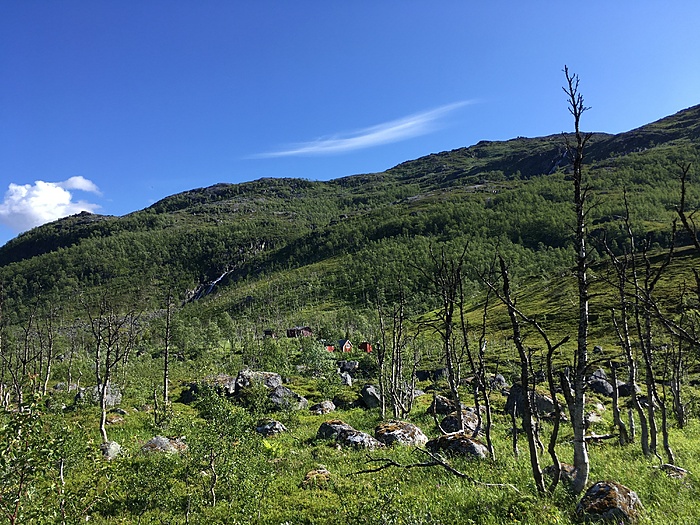 Klicke auf die Grafik für eine vergrößerte Ansicht

Name: Norwegen19_ - 282.JPG
Ansichten: 946
Größe: 4,62 MB
ID: 3048778