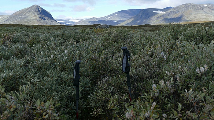 Klicke auf die Grafik für eine vergrößerte Ansicht

Name: 2020-09, Lappland, 113_verkleinert.jpg
Ansichten: 1022
Größe: 2,53 MB
ID: 3049140