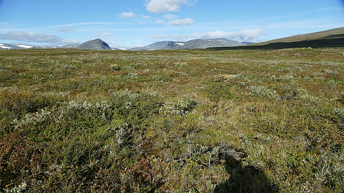 Klicke auf die Grafik für eine vergrößerte Ansicht

Name: 2020-09, Lappland, 107_verkleinert.jpg
Ansichten: 1022
Größe: 3,92 MB
ID: 3049142
