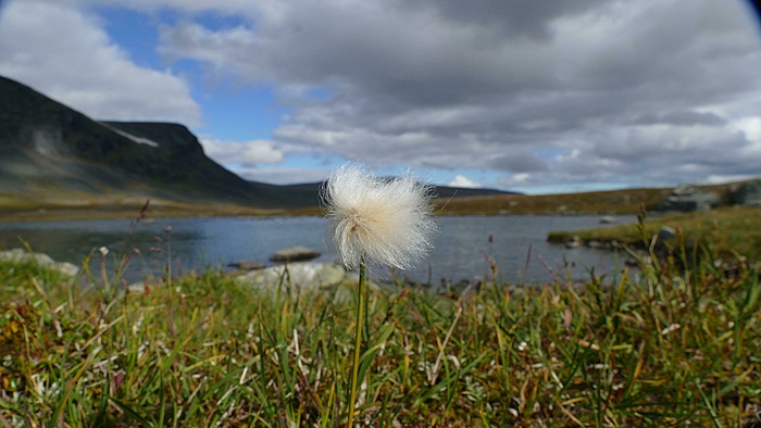 Klicke auf die Grafik für eine vergrößerte Ansicht

Name: 2020-09, Lappland, 130_verkleinert.jpg
Ansichten: 1001
Größe: 1,48 MB
ID: 3049146