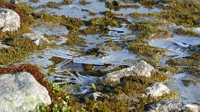 Klicke auf die Grafik für eine vergrößerte Ansicht

Name: 2020-09, Lappland, 163_verkleinert.jpg
Ansichten: 962
Größe: 2,66 MB
ID: 3050112