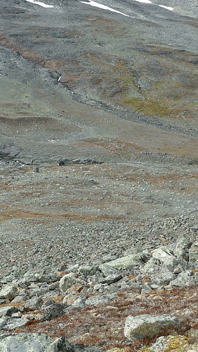 Klicke auf die Grafik für eine vergrößerte Ansicht

Name: 2020-09, Lappland, 240_verkleinert.jpg
Ansichten: 937
Größe: 3,54 MB
ID: 3050120