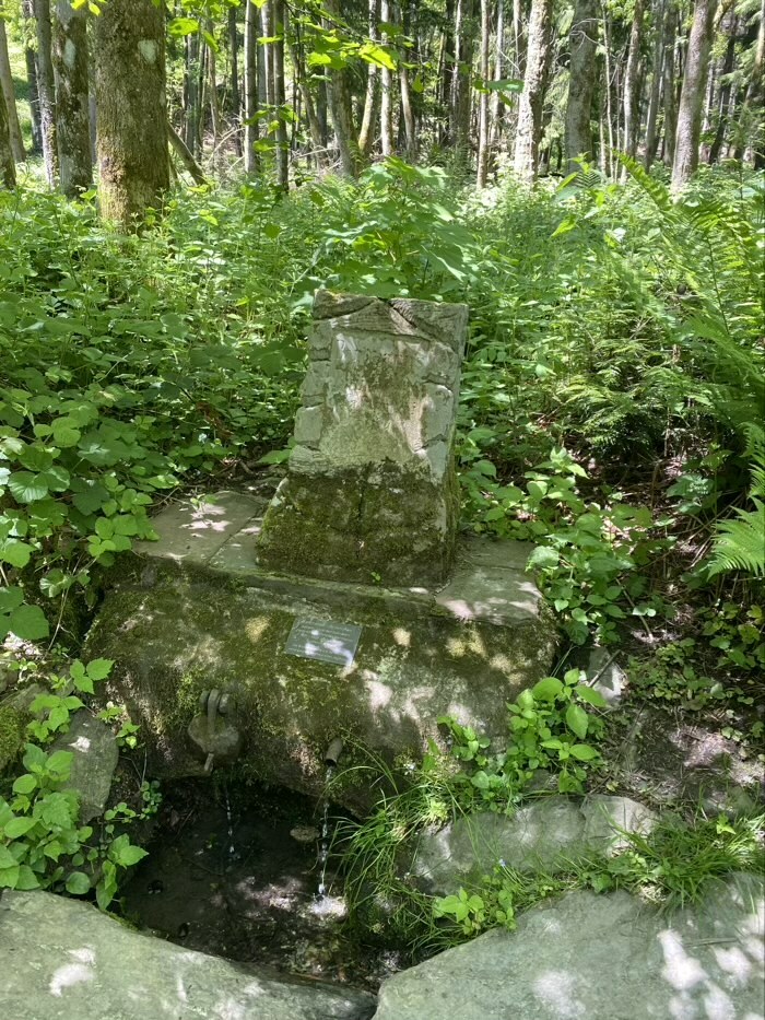 Klicke auf die Grafik für eine vergrößerte Ansicht  Name: ODS-38.jpeg Ansichten: 0 Größe: 269,0 KB ID: 3051503
