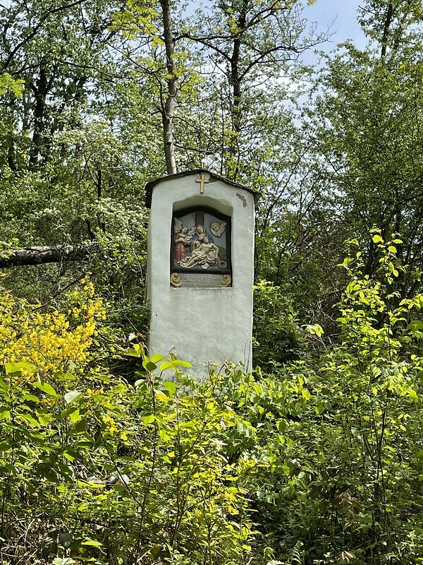Klicke auf die Grafik für eine vergrößerte Ansicht  Name: 51193720318_fdbe6b4976_c.jpg Ansichten: 0 Größe: 316,1 KB ID: 3053650