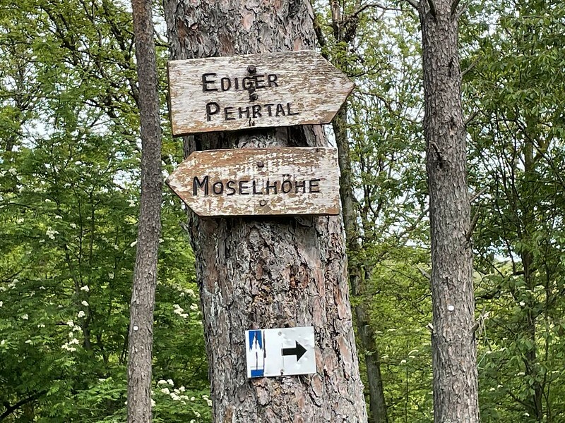 Klicke auf die Grafik für eine vergrößerte Ansicht

Name: 51193894403_aeffca59b5_c.jpg
Ansichten: 247
Größe: 282,4 KB
ID: 3053922