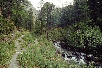 Klicke auf die Grafik für eine vergrößerte Ansicht

Name: 35_aufstieg-lystal.jpg
Ansichten: 875
Größe: 198,3 KB
ID: 3054100