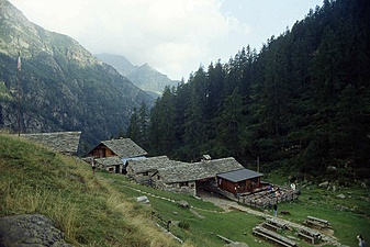 Klicke auf die Grafik für eine vergrößerte Ansicht

Name: 47_rif-pastore.jpg
Ansichten: 851
Größe: 107,3 KB
ID: 3054167