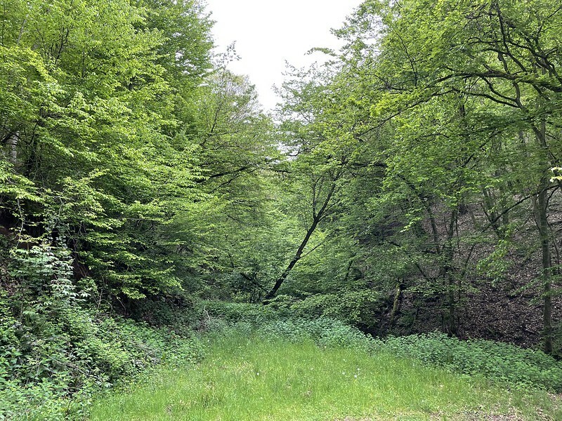 Klicke auf die Grafik für eine vergrößerte Ansicht

Name: 51193682281_7a9db489c6_c.jpg
Ansichten: 186
Größe: 283,9 KB
ID: 3055402