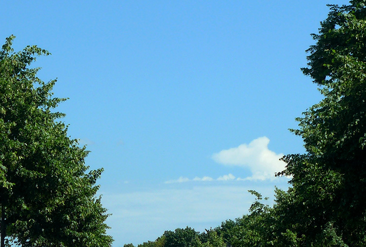 Klicke auf die Grafik für eine vergrößerte Ansicht

Name: Wolkenmaus.jpg
Ansichten: 466
Größe: 168,3 KB
ID: 3056521