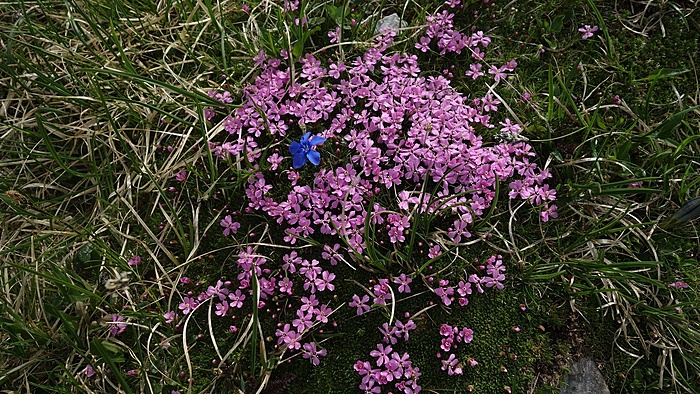 Klicke auf die Grafik für eine vergrößerte Ansicht

Name: DSC03604.JPG
Ansichten: 522
Größe: 886,2 KB
ID: 3056659
