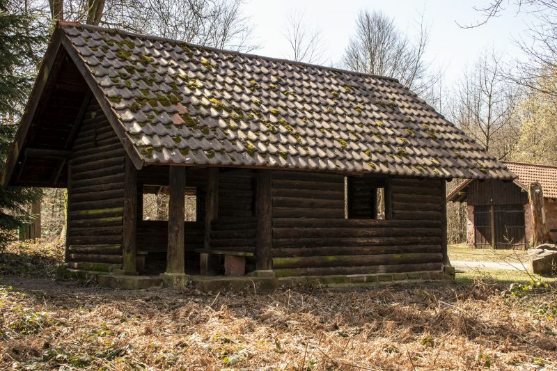 Klicke auf die Grafik für eine vergrößerte Ansicht

Name: 43 Hohlekastenbaumhütte 02.jpg
Ansichten: 201
Größe: 132,8 KB
ID: 3056862
