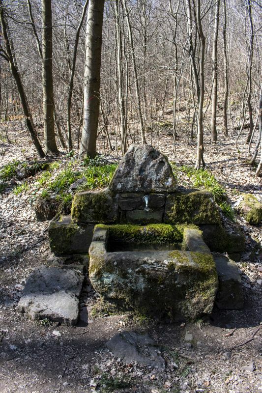 Klicke auf die Grafik für eine vergrößerte Ansicht

Name: 45 Erlenbrunnen 03.jpg
Ansichten: 196
Größe: 164,8 KB
ID: 3056869