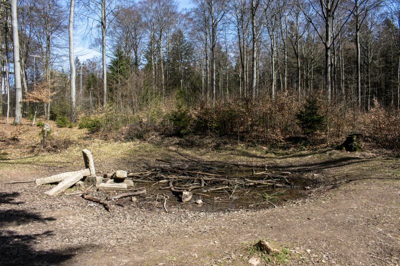 Klicke auf die Grafik für eine vergrößerte Ansicht

Name: 47 Eiswiher 01.jpg
Ansichten: 184
Größe: 159,1 KB
ID: 3056879
