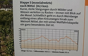 Klicke auf die Grafik für eine vergrößerte Ansicht

Name: DSC_0978.JPG
Ansichten: 422
Größe: 544,7 KB
ID: 3057166