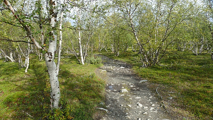 Klicke auf die Grafik für eine vergrößerte Ansicht

Name: 2020-09, Lappland, 713_verkleinert.jpg
Ansichten: 540
Größe: 4,28 MB
ID: 3057311