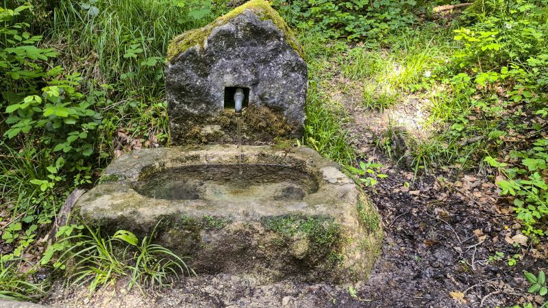 Klicke auf die Grafik für eine vergrößerte Ansicht

Name: 49 Knobelbrunnen 01.jpg
Ansichten: 127
Größe: 155,5 KB
ID: 3057539
