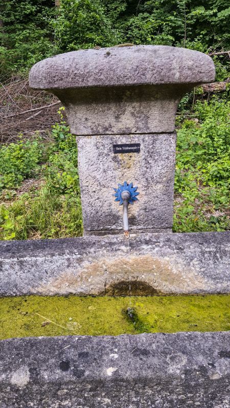 Klicke auf die Grafik für eine vergrößerte Ansicht  Name: 57 Brunnen Rauhalde 02.jpg Ansichten: 0 Größe: 143,6 KB ID: 3057603