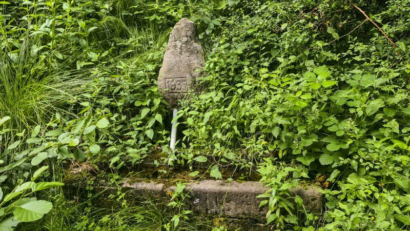 Klicke auf die Grafik für eine vergrößerte Ansicht

Name: 71 Brunnen Bärlochklinge im Schönbuch 01.jpg
Ansichten: 202
Größe: 156,0 KB
ID: 3058230