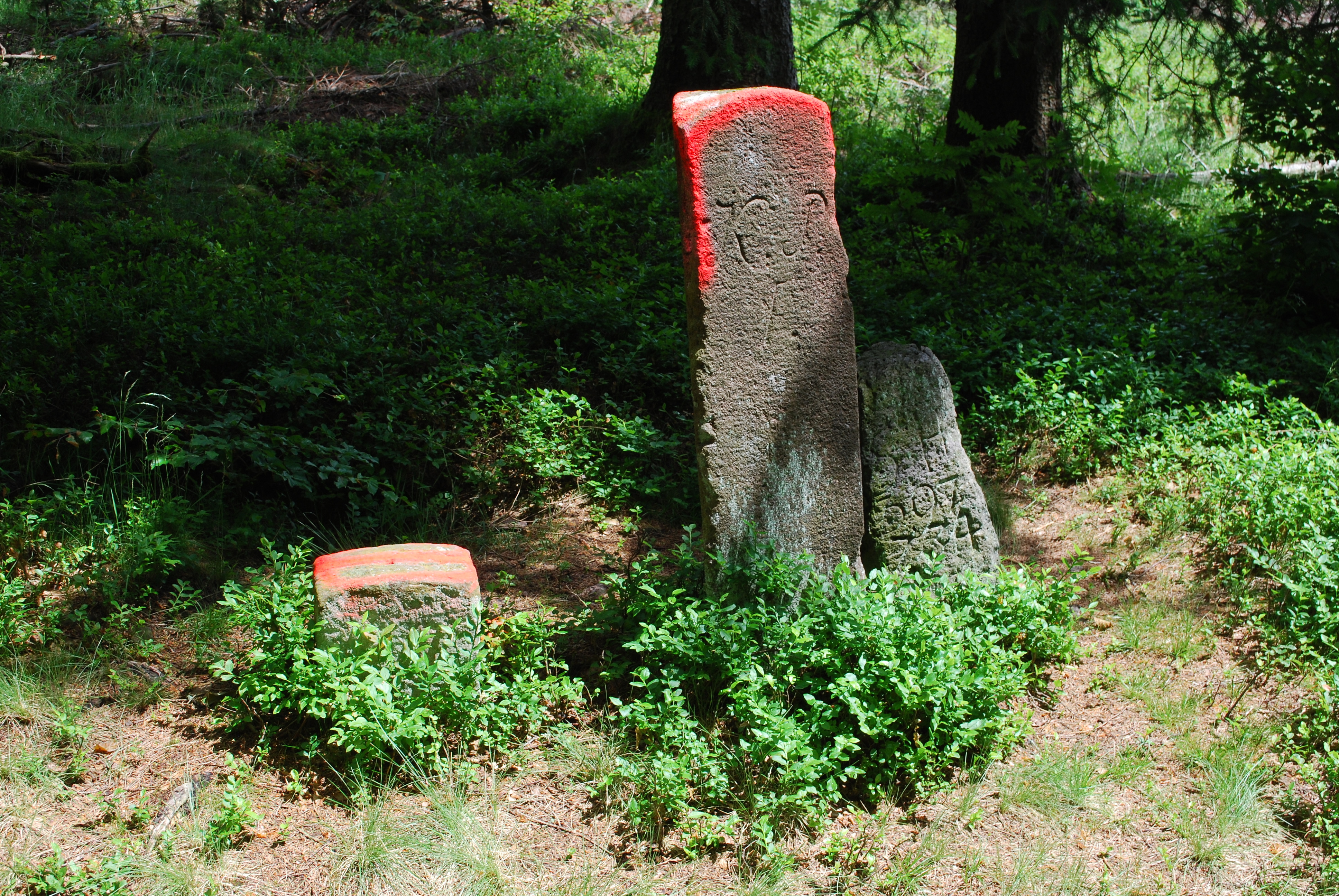 Klicke auf die Grafik für eine vergrößerte Ansicht  Name: DSC_1892.JPG Ansichten: 0 Größe: 4,73 MB ID: 3058648