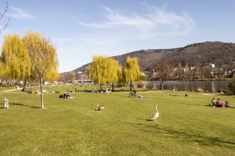 Klicke auf die Grafik für eine vergrößerte Ansicht  Name: 21 Die Heidelberger genießen ihre Stadt in der Märzsonne.jpg Ansichten: 0 Größe: 92,0 KB ID: 3059309