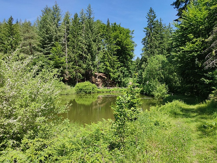 Klicke auf die Grafik für eine vergrößerte Ansicht

Name: Kieselweiher.jpg
Ansichten: 944
Größe: 361,8 KB
ID: 3060858